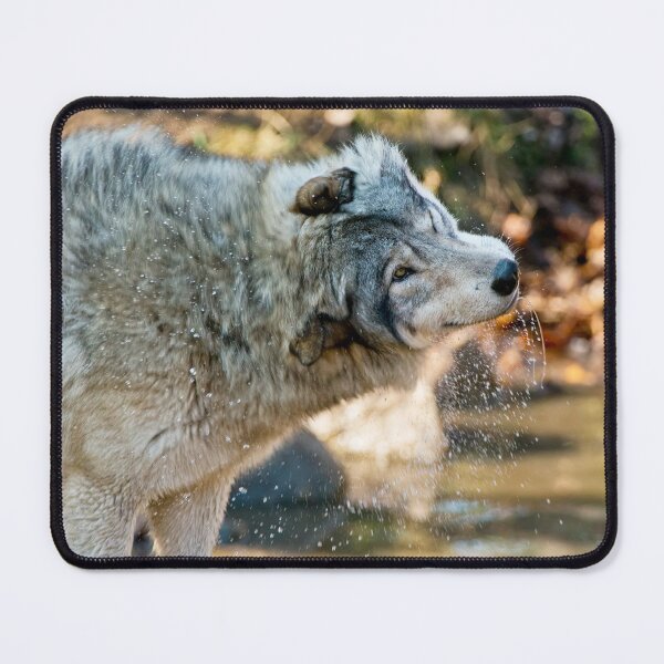 Item preview, Gray Wolf designed and sold by Michael Cummings.