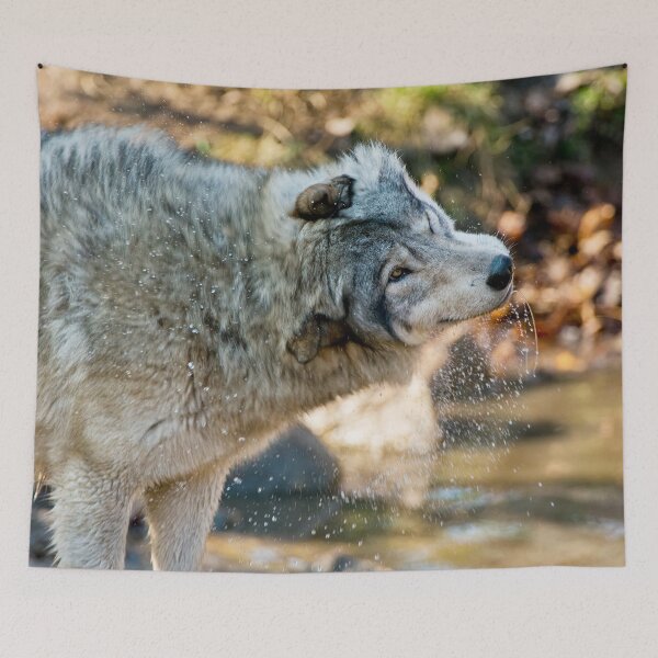 Item preview, Gray Wolf designed and sold by Michael Cummings.