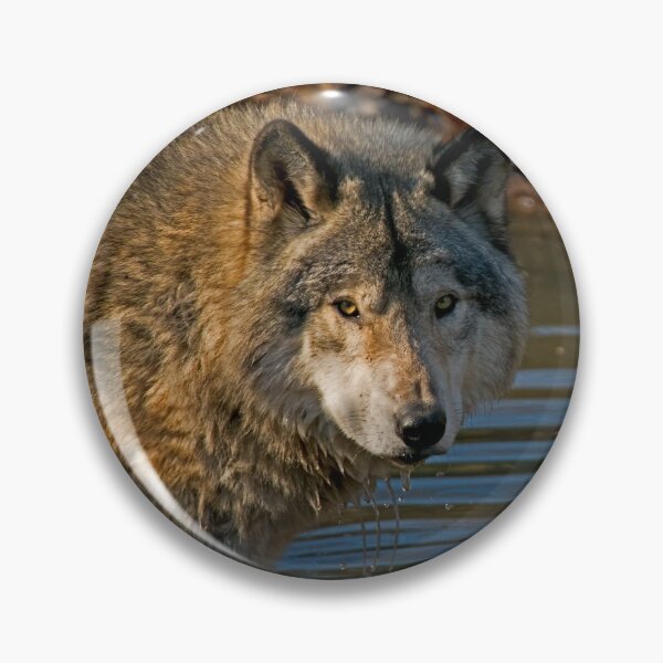 Item preview, Timber Wolf designed and sold by Michael Cummings.