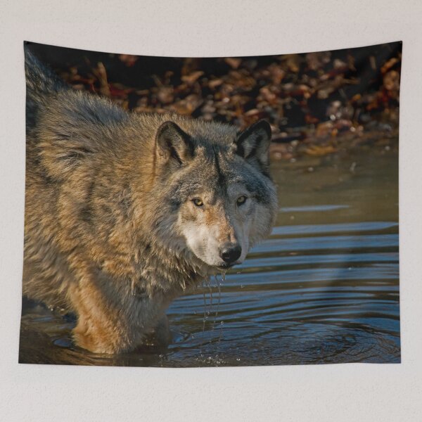 Item preview, Timber Wolf designed and sold by Michael Cummings.