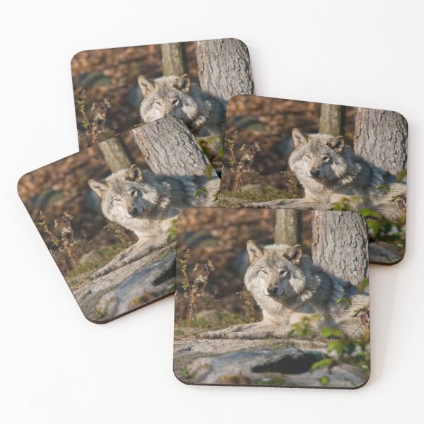 Item preview, Timber Wolf designed and sold by Michael Cummings.