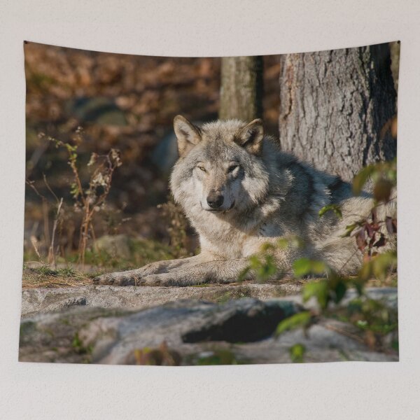 Item preview, Timber Wolf designed and sold by Michael Cummings.
