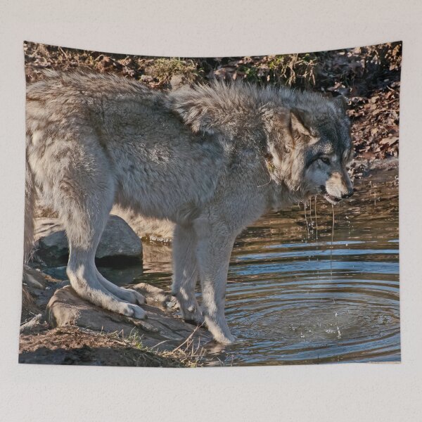 Artikelvorschau, Timberwolf am Teich entworfen und verkauft von Michael Cummings.
