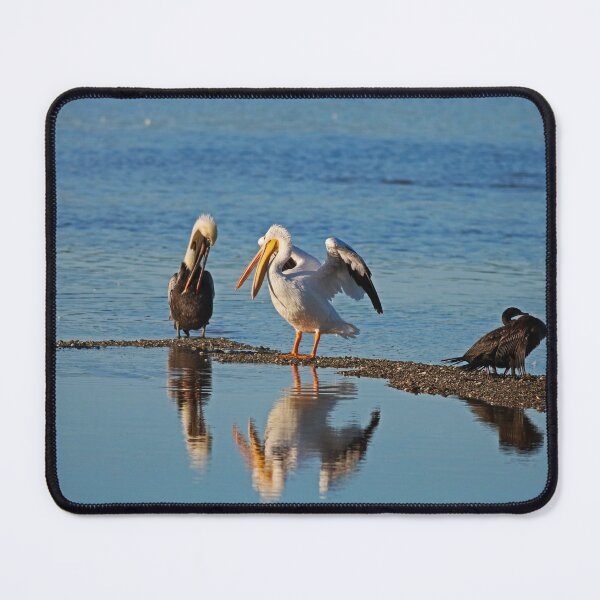 Item preview, Transformations designed and sold by Michiale.