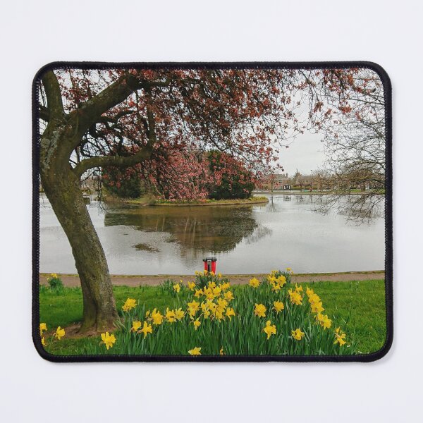 Item preview, Swannie Ponds, Dundee Jigsaw designed and sold by GillyMc.
