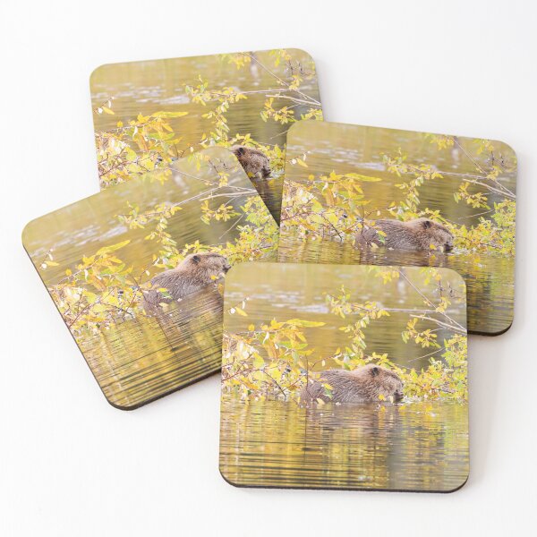 Item preview, Beaver Kit in Hinton designed and sold by Alyce Taylor.