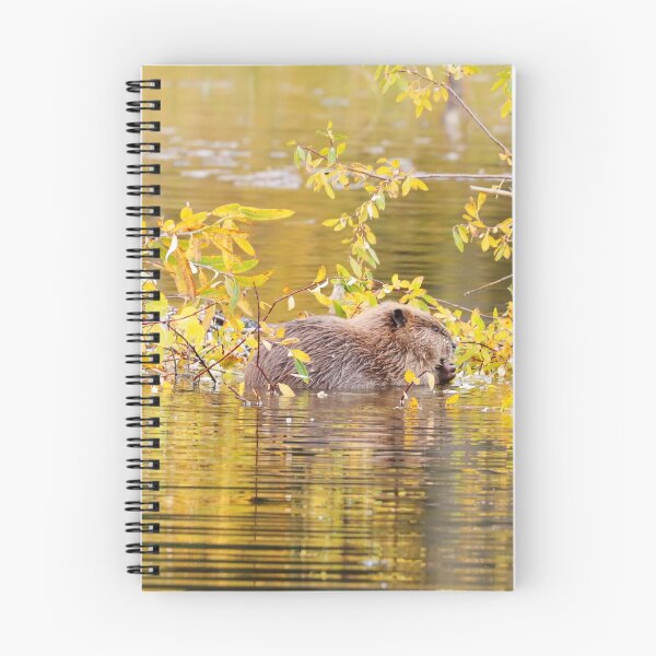Item preview, Beaver Kit in Hinton designed and sold by Alyce Taylor.