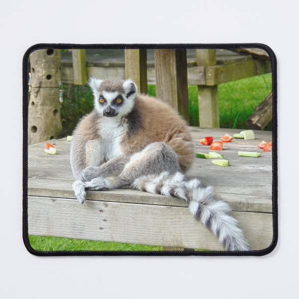 Item preview, Lemur Jigsaw designed and sold by GillyMc.