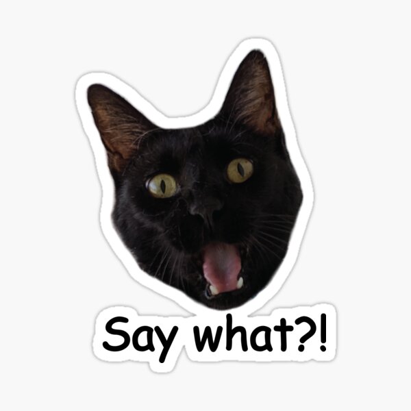 Say what?! Sticker