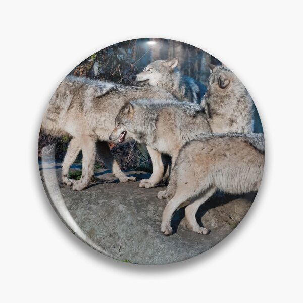 Item preview, Timber Wolves  designed and sold by Michael Cummings.