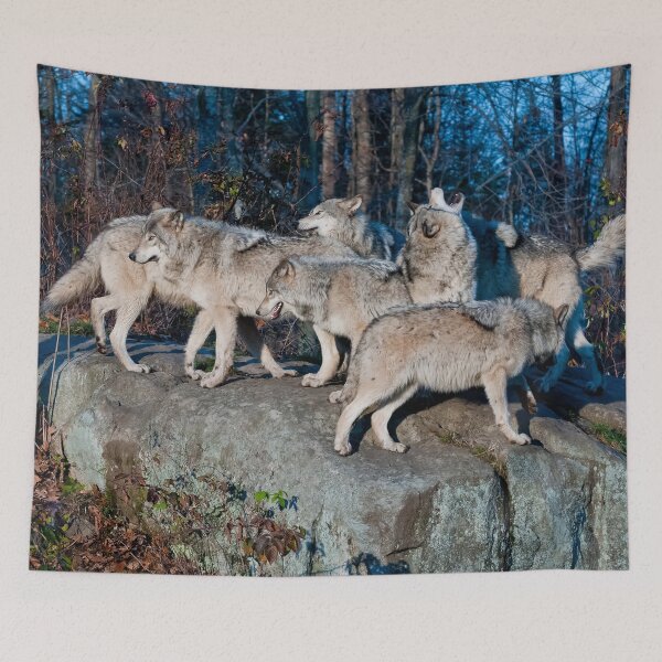 Item preview, Timber Wolves  designed and sold by Michael Cummings.