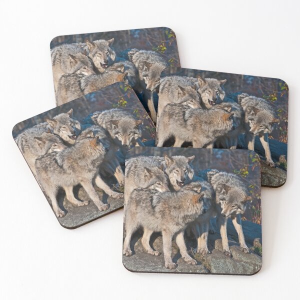 Artikelvorschau, Graue Wölfe entworfen und verkauft von Michael Cummings.