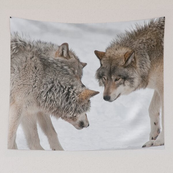Item preview, Timber Wolves designed and sold by Michael Cummings.