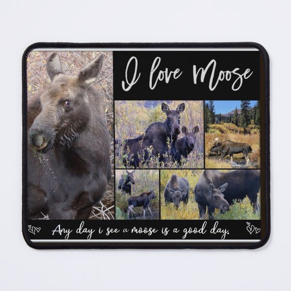 Item preview, I Love Moose -- Series designed and sold by Betsy Seeton.