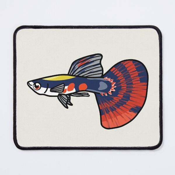 Item preview, Platinum Dragon Guppy best fishkeeper gift, aquarium gift - aquadesk designed and sold by Aquadesk.
