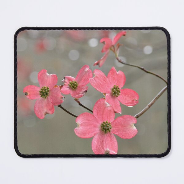 Item preview, Pink Dogwoods designed and sold by Pisgah Astronomical Research Institute.