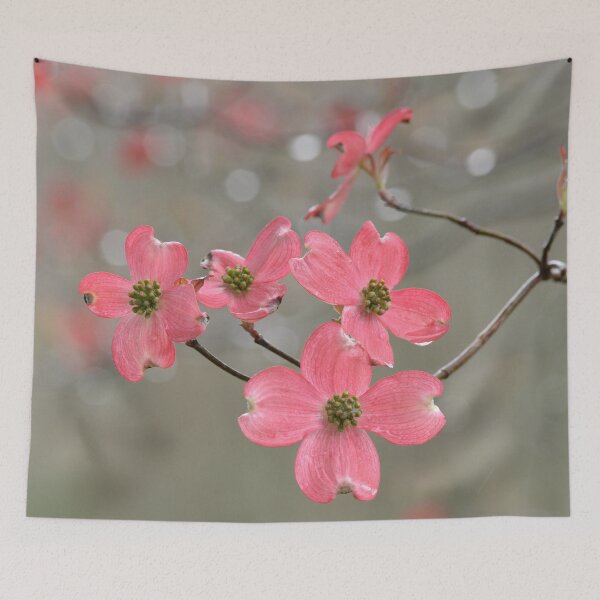Item preview, Pink Dogwoods designed and sold by Pisgah Astronomical Research Institute.