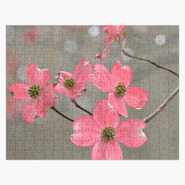 Pink Dogwoods Jigsaw Puzzle