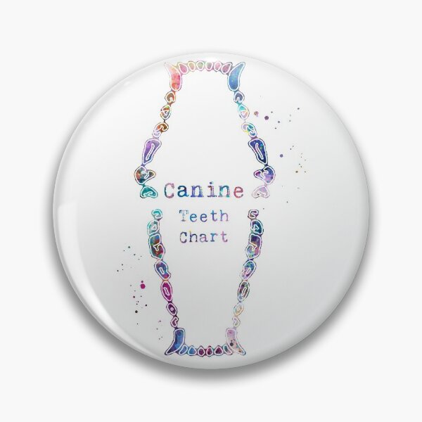 Item preview, Canine Dog Teeth Dental Chart designed and sold by EvasDreams.