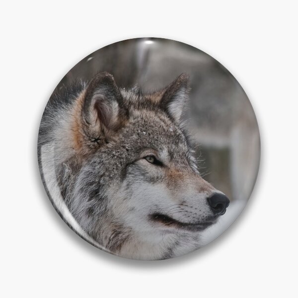 Item preview, Gray Wolves designed and sold by Michael Cummings.