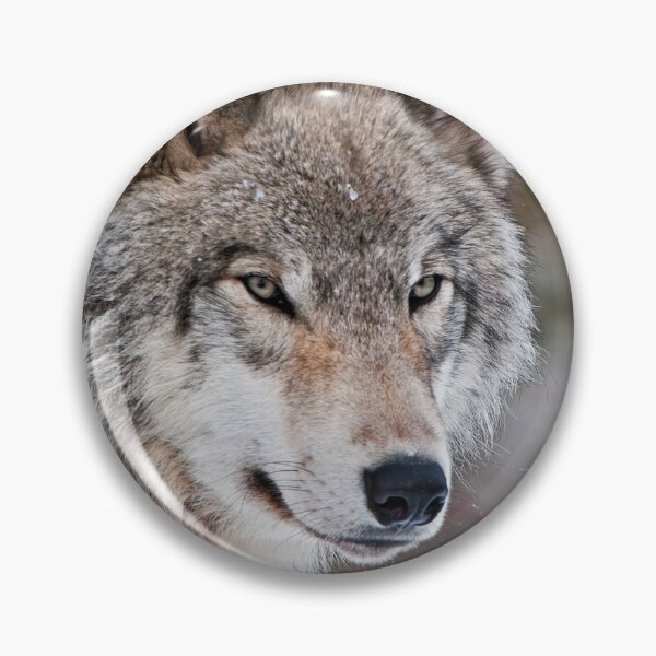 Artikelvorschau, Grauer Wolf entworfen und verkauft von Michael Cummings.