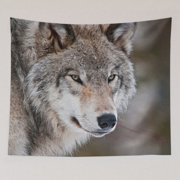 Item preview, Grey Wolf designed and sold by Michael Cummings.