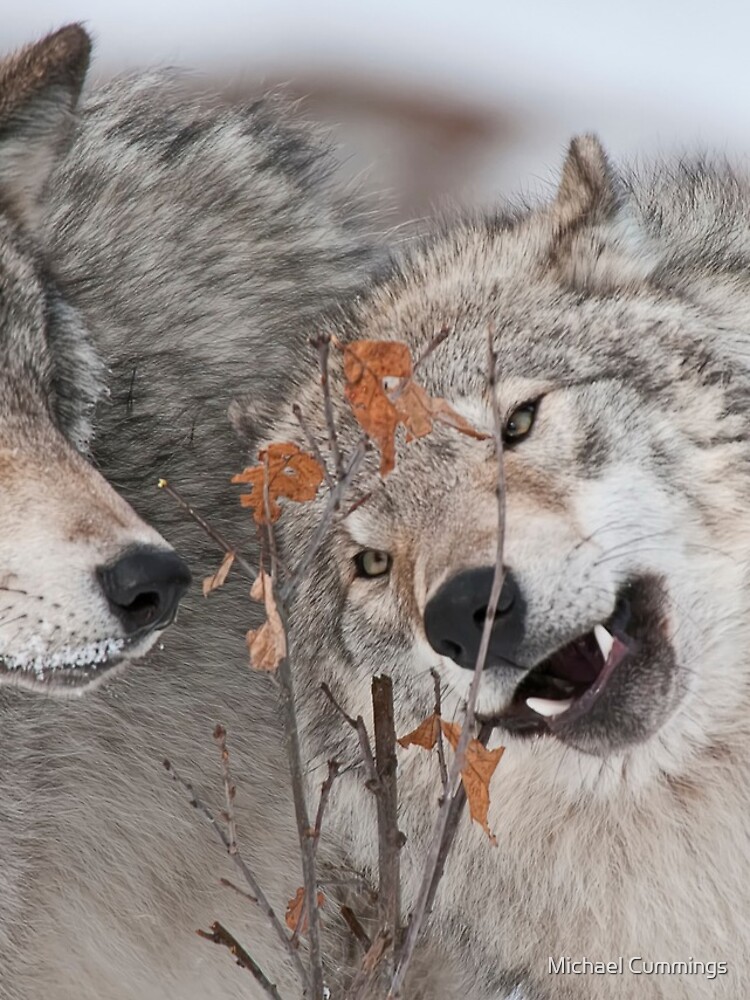 Thumbnail 4 of 4, iPhone Case, Timber Wolves designed and sold by jaydee1400.