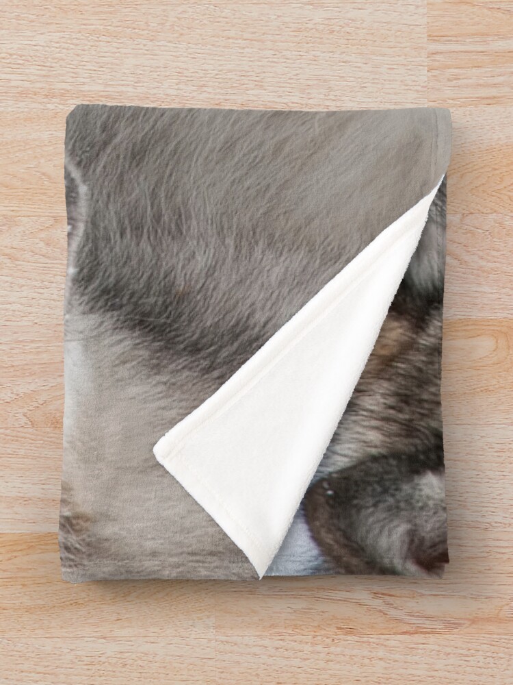 Thumbnail 3 of 6, Throw Blanket, Timber Wolves designed and sold by jaydee1400.