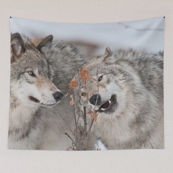 Item preview, Timber Wolves designed and sold by Michael Cummings.