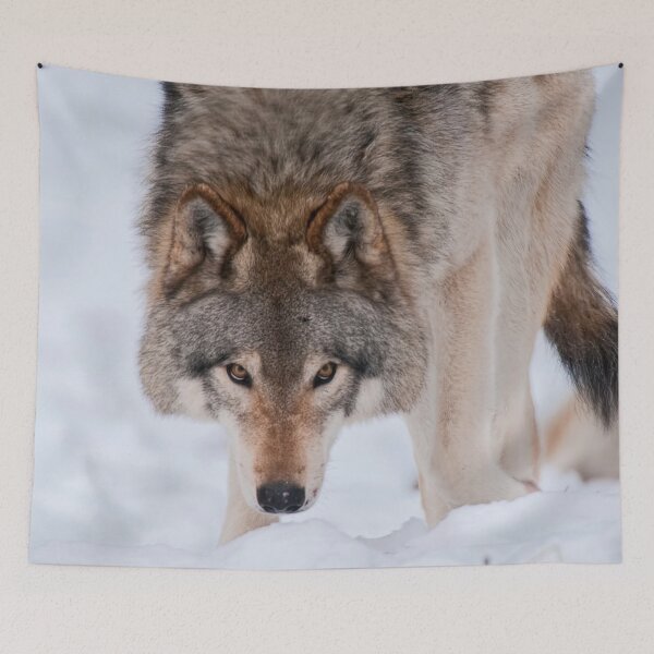 Item preview, Timber Wolves designed and sold by Michael Cummings.