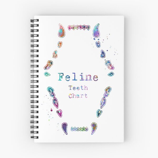Item preview, Feline Cat Teeth Dental Chart designed and sold by EvasDreams.