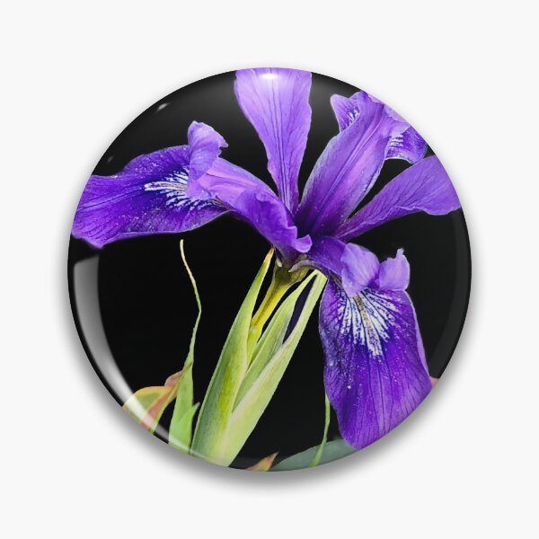 Item preview, Beautiful image of a wild iris flower designed and sold by Floradigital.