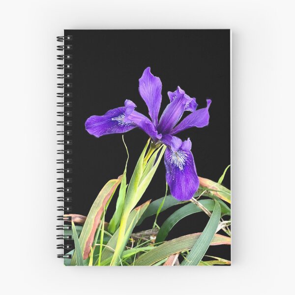 Item preview, Beautiful image of a wild iris flower designed and sold by Floradigital.