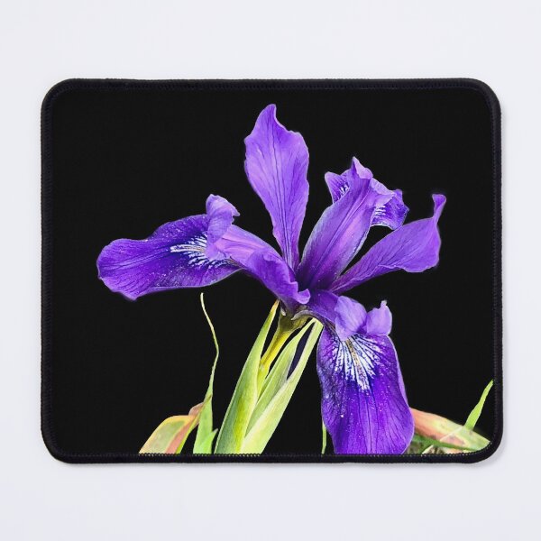 Item preview, Beautiful image of a wild iris flower designed and sold by Floradigital.