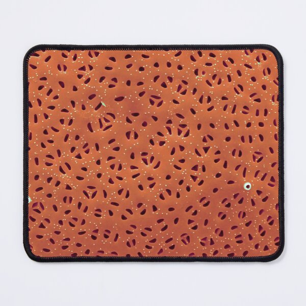 Item preview, Diatom - Stephanodiscus niagarae (external, orange) designed and sold by DiatomsATTACK.