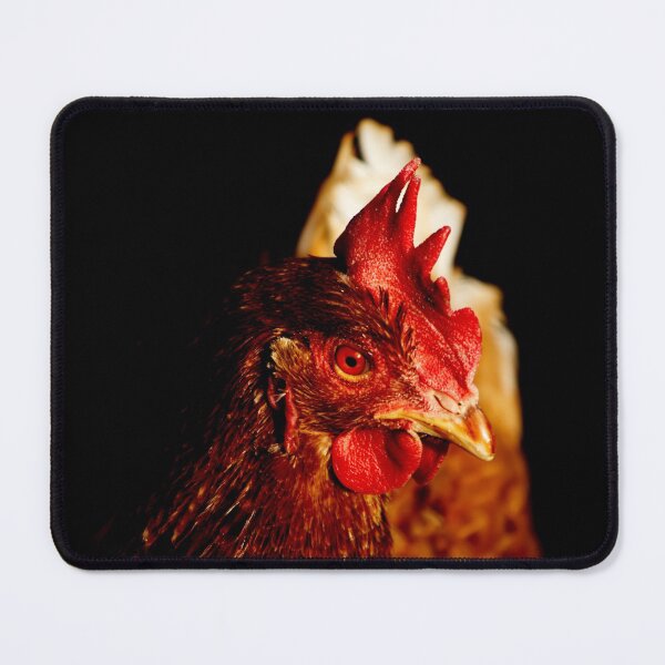 Item preview, Brown chicken portrait on a black background designed and sold by Michaelerch.