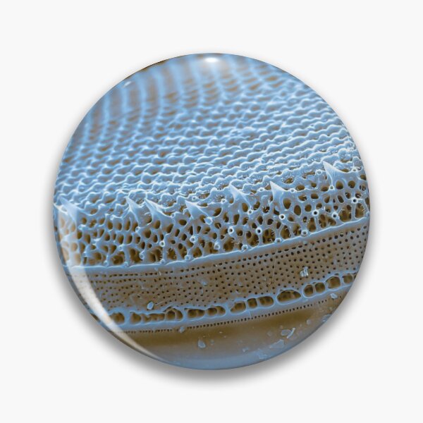 Item preview, Diatom - Thalassiosira (SEM) designed and sold by DiatomsATTACK.