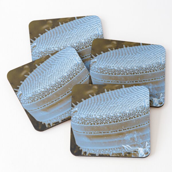 Item preview, Diatom - Thalassiosira (SEM) designed and sold by DiatomsATTACK.