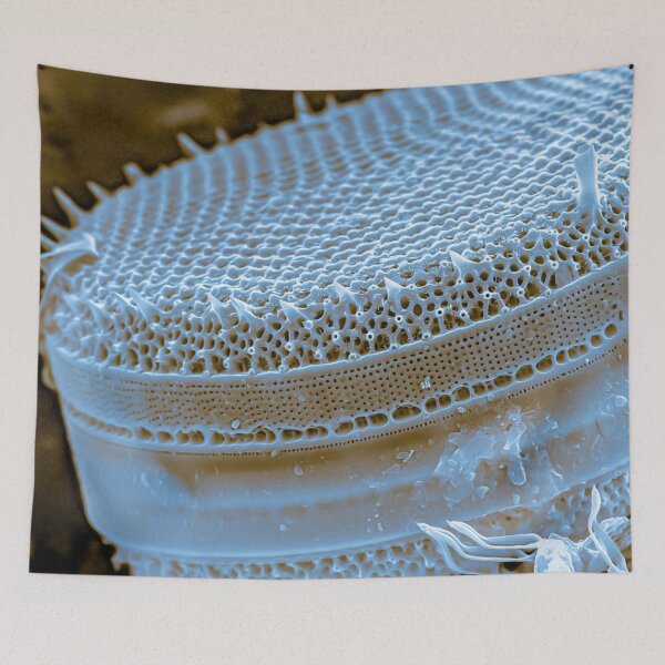 Item preview, Diatom - Thalassiosira (SEM) designed and sold by DiatomsATTACK.