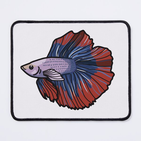 Item preview, Betta fish (Siamese fighting fish) , best fishkeeper gift, aquarium gift - aquadesk designed and sold by Aquadesk.