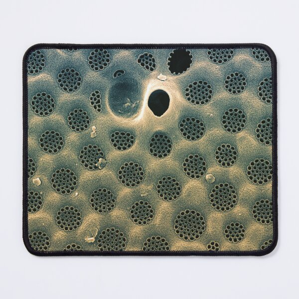 Item preview, Diatom - Coscinodiscus in SEM (external Blue) designed and sold by DiatomsATTACK.