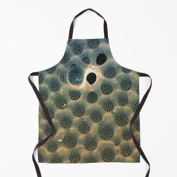 Item preview, Diatom - Coscinodiscus in SEM (external Blue) designed and sold by DiatomsATTACK.