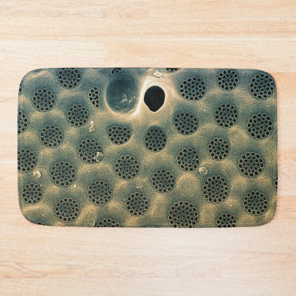 Item preview, Diatom - Coscinodiscus in SEM (external Blue) designed and sold by DiatomsATTACK.