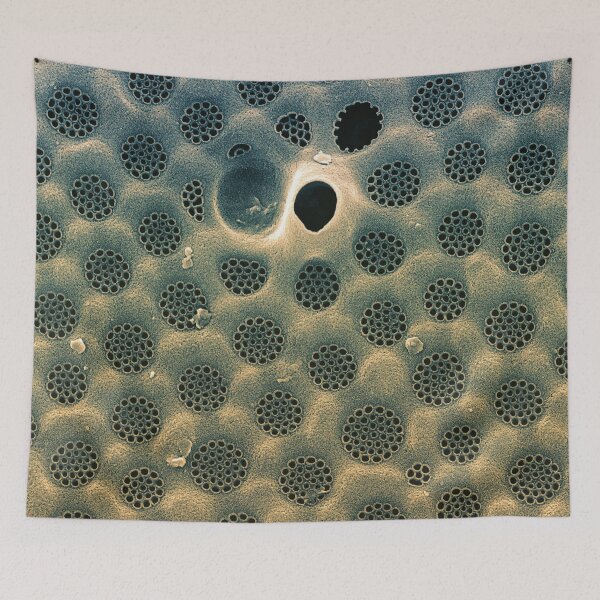 Item preview, Diatom - Coscinodiscus in SEM (external Blue) designed and sold by DiatomsATTACK.