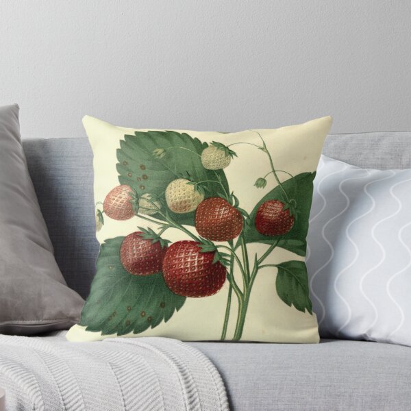 Aperçu de l'œuvre des fraises créée et vendue par Krzyzanowski Art.