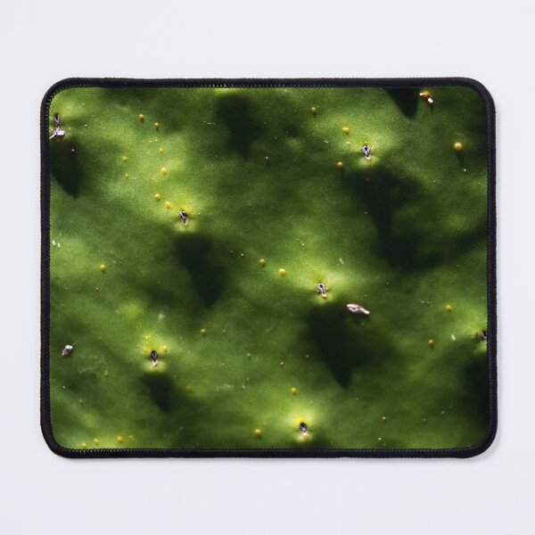 Item preview, Cactus texture background designed and sold by Michaelerch.