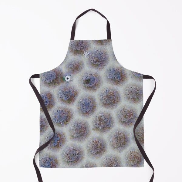 Item preview, Cribra designed and sold by DiatomsATTACK.