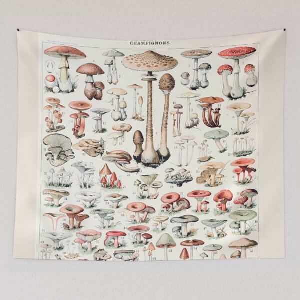 Item preview, Vintage Botanical Mushroom Illustration V.2 designed and sold by TheLykosApparel.