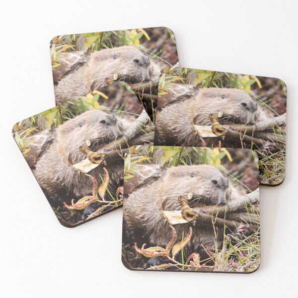 Item preview, Busy Beaver designed and sold by Alyce Taylor.