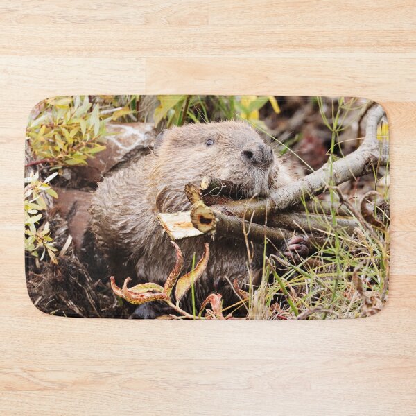 Item preview, Busy Beaver designed and sold by Alyce Taylor.